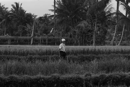 bali