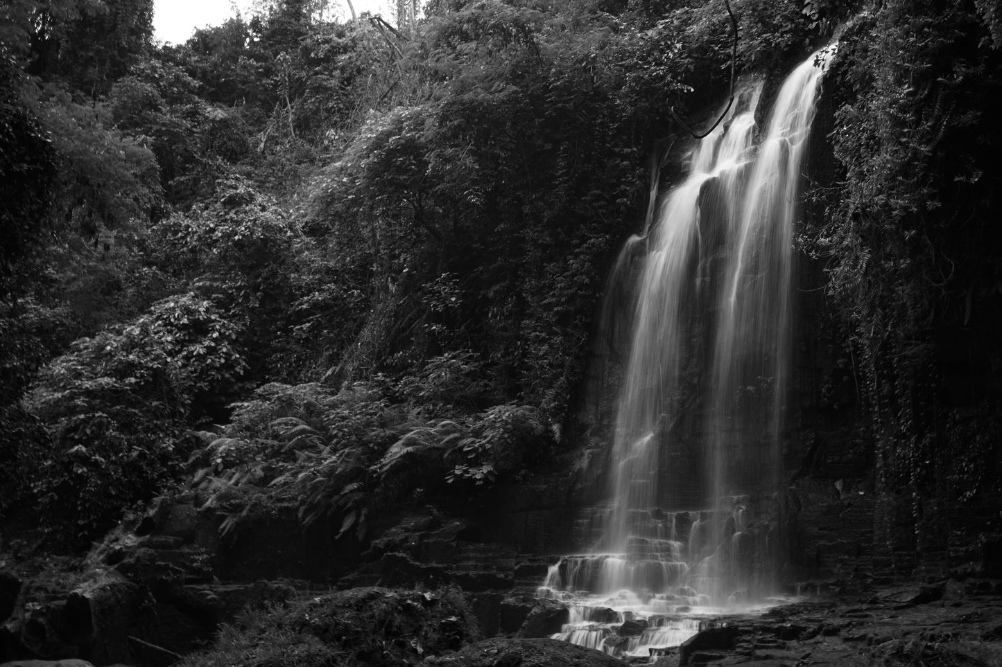 bali