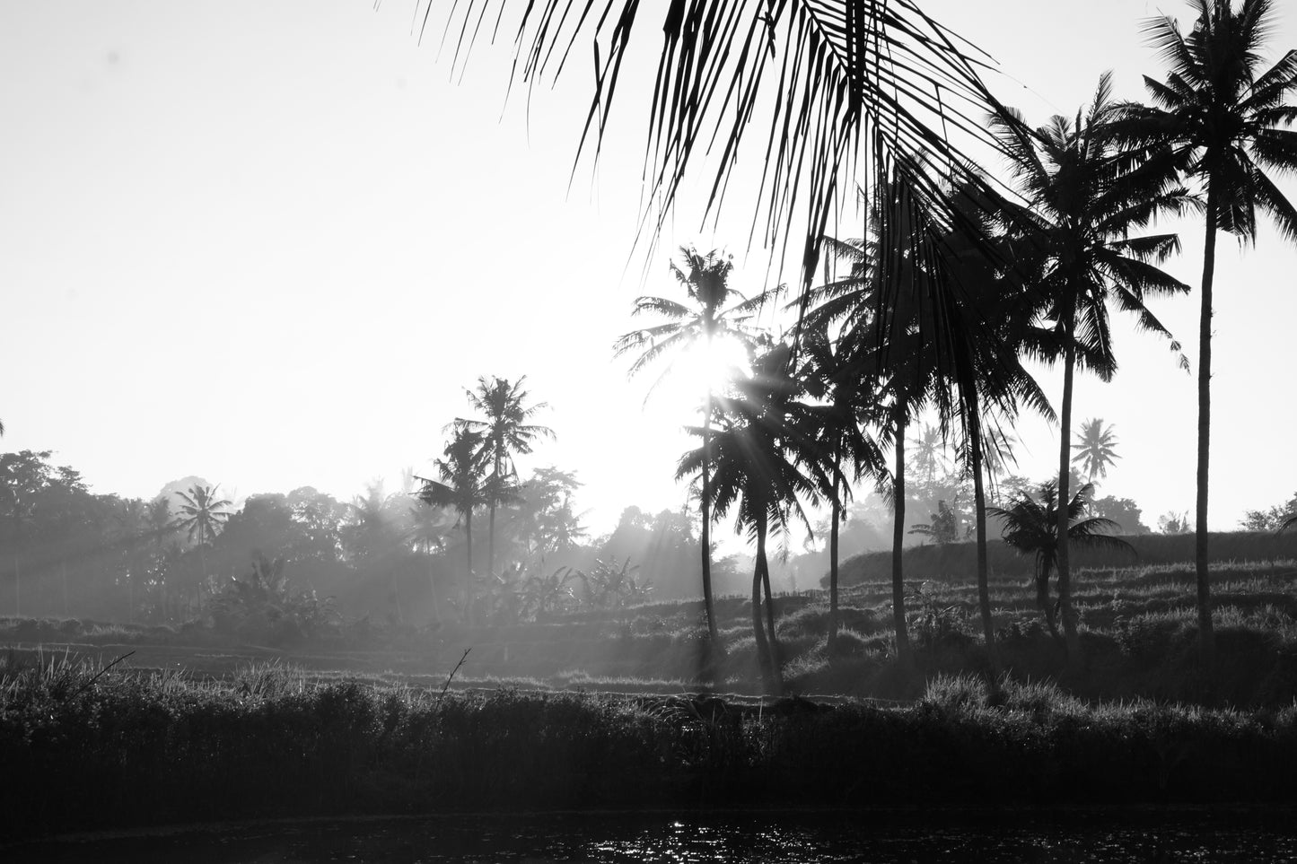 bali