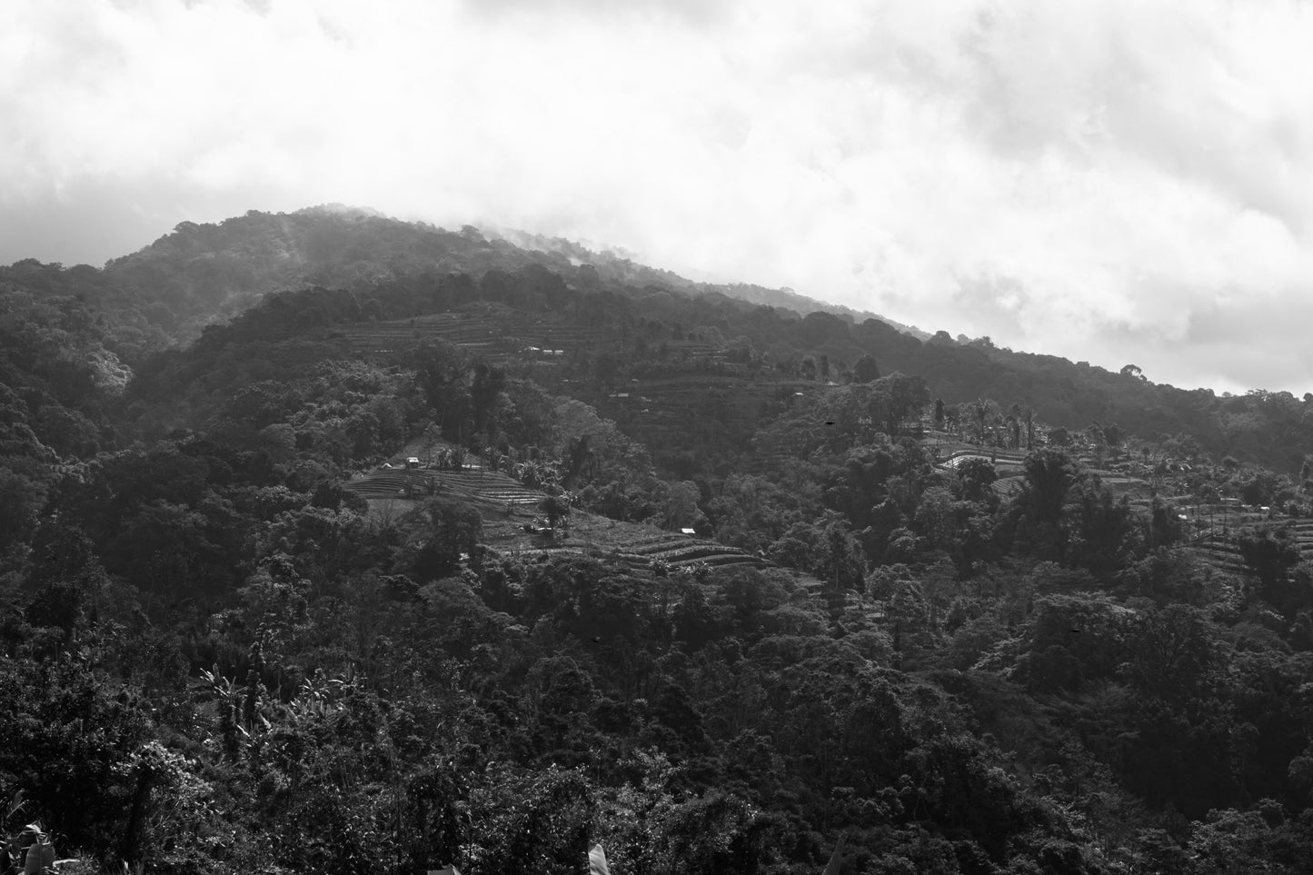 bali